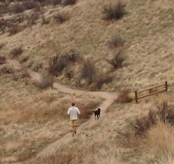 Dog off leash