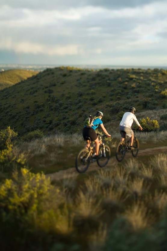 Mountain bikers