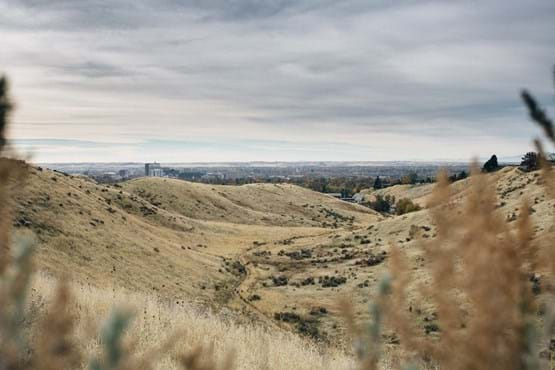 Hillside to Hollow Reserve