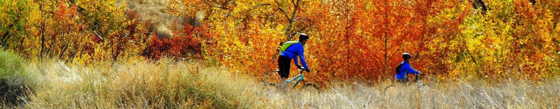 Fall_Bikes_Foothills.jpg