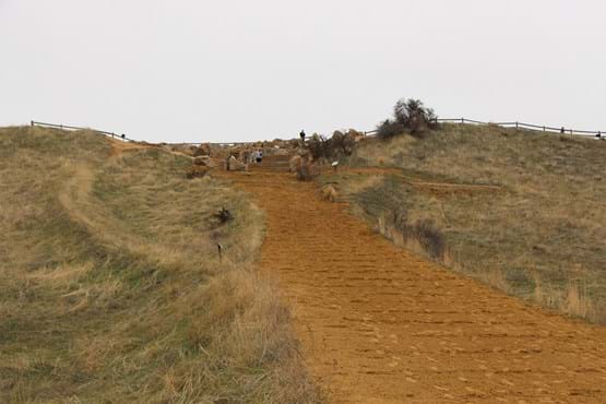 Trail heading up Camel's Back Park.