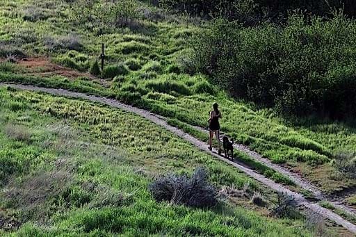 Runner on trail with dog on leash