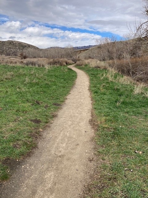 226 Mountain Cove All Weather