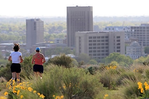Military Reserve 2 Runners