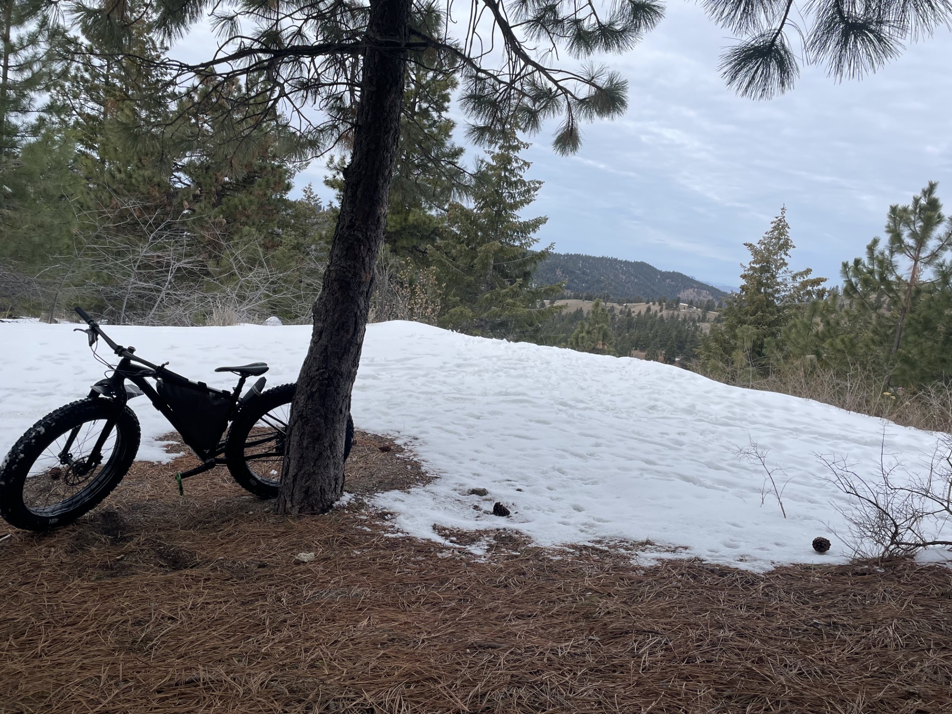 Pats Eastside Junction