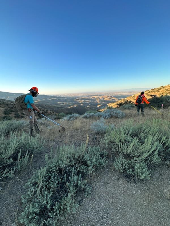 Staff working on remedial actions in the boise foothills