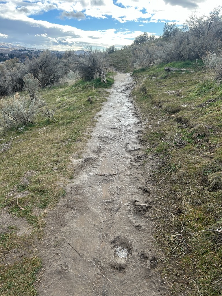 Who Now Loop Tr. (1)