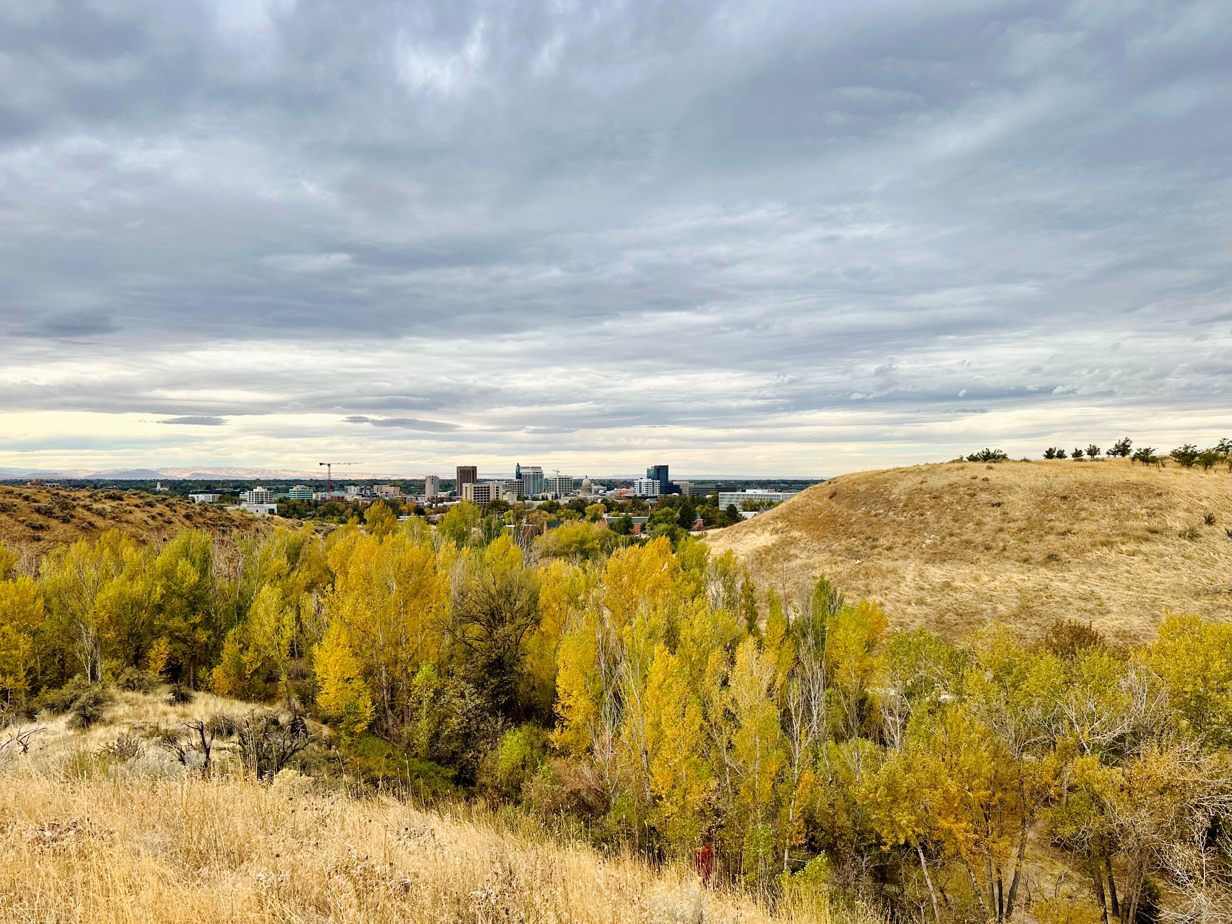 Fall In Military Reserve October 2024