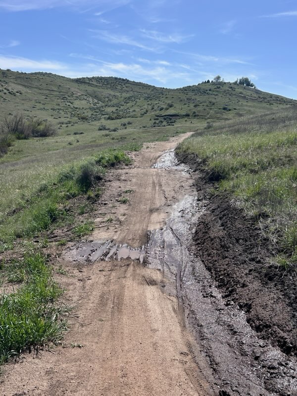 Sideshow Trail (1) (1)