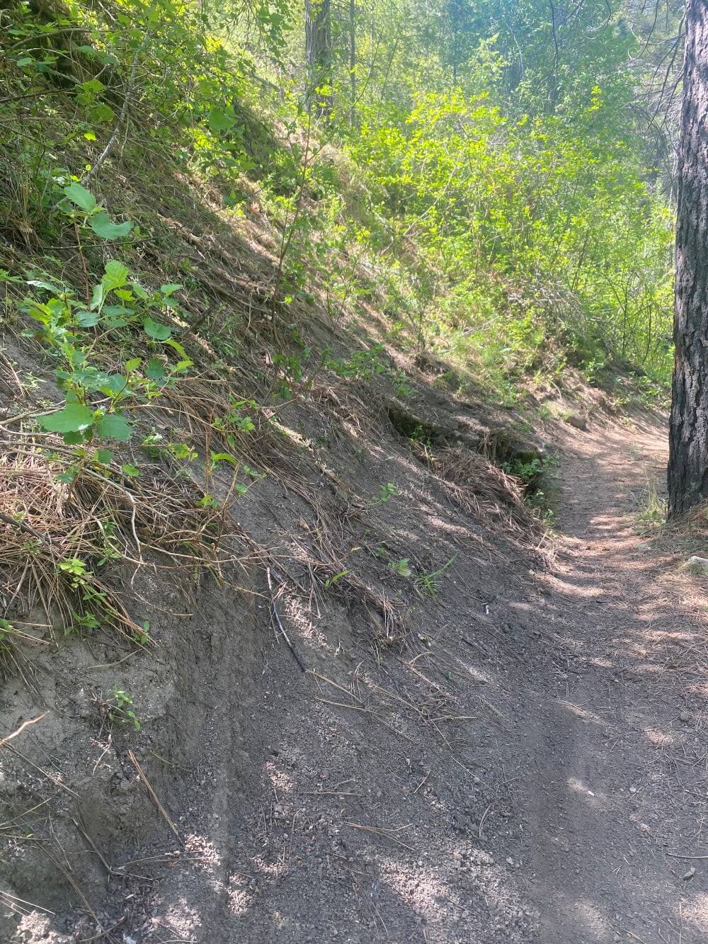 Example of inappropriate off-trail travel
