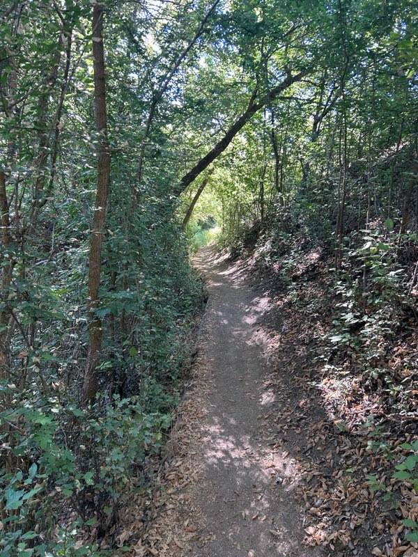 Cottonwood Creek Trail (2)