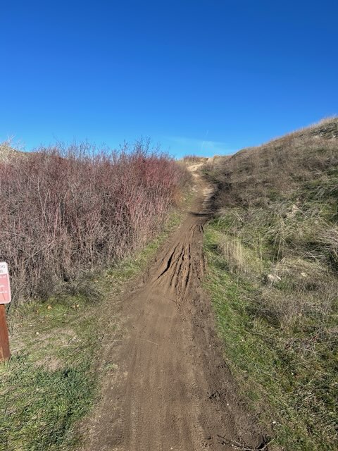 Central Ridge Point December 31 Trail Report | Ridge to Rivers