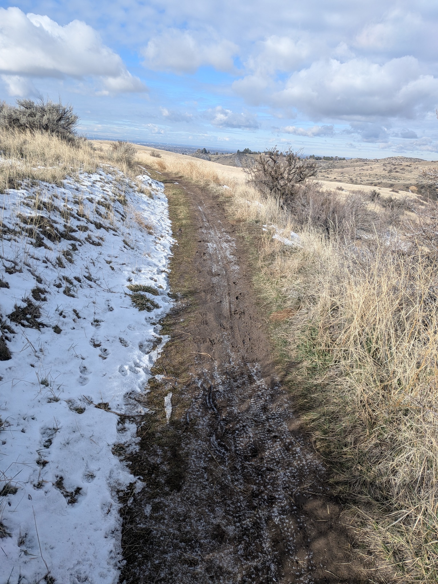 February 22 Conditions 2