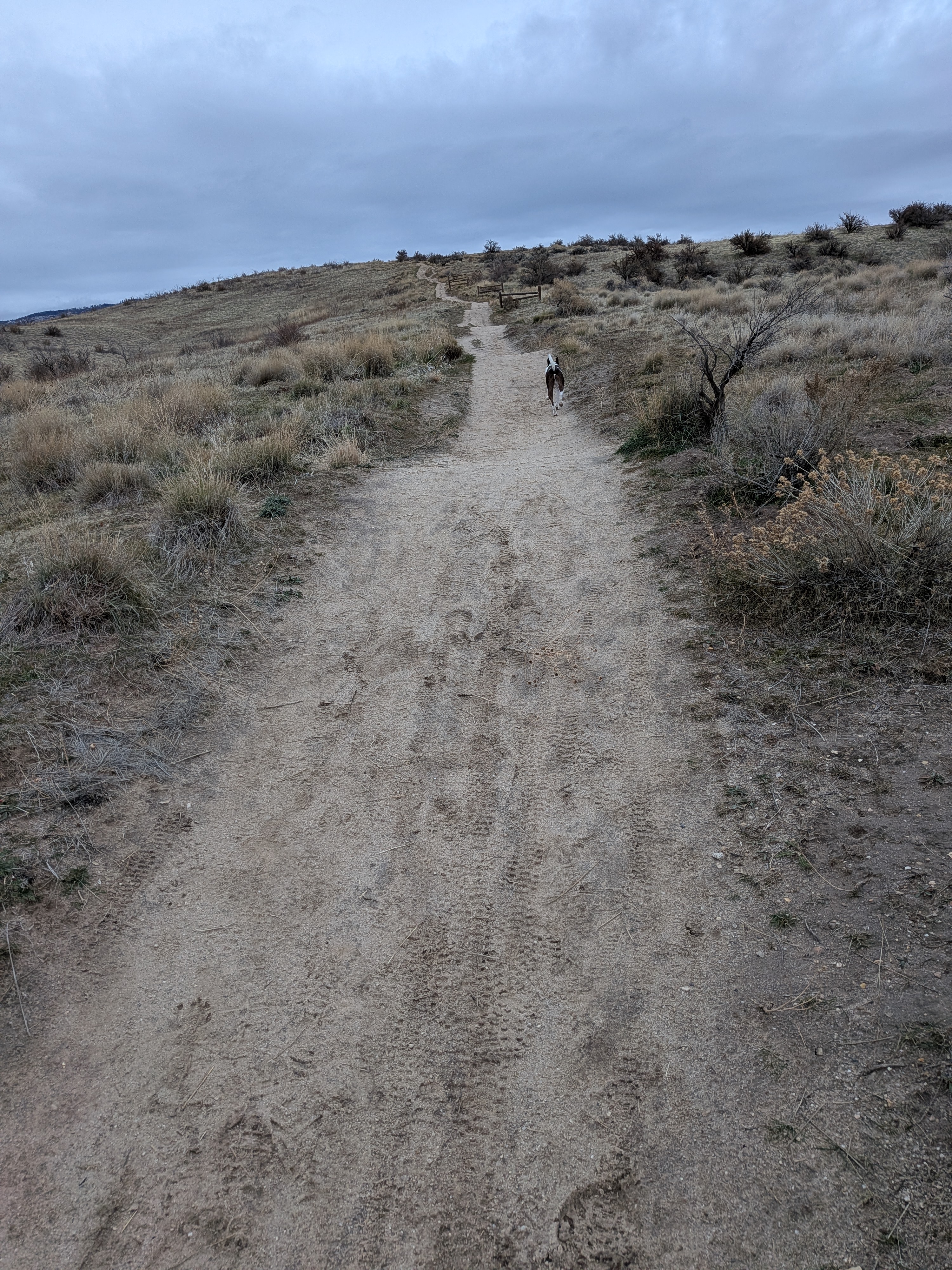 Central Ridge Trail-01