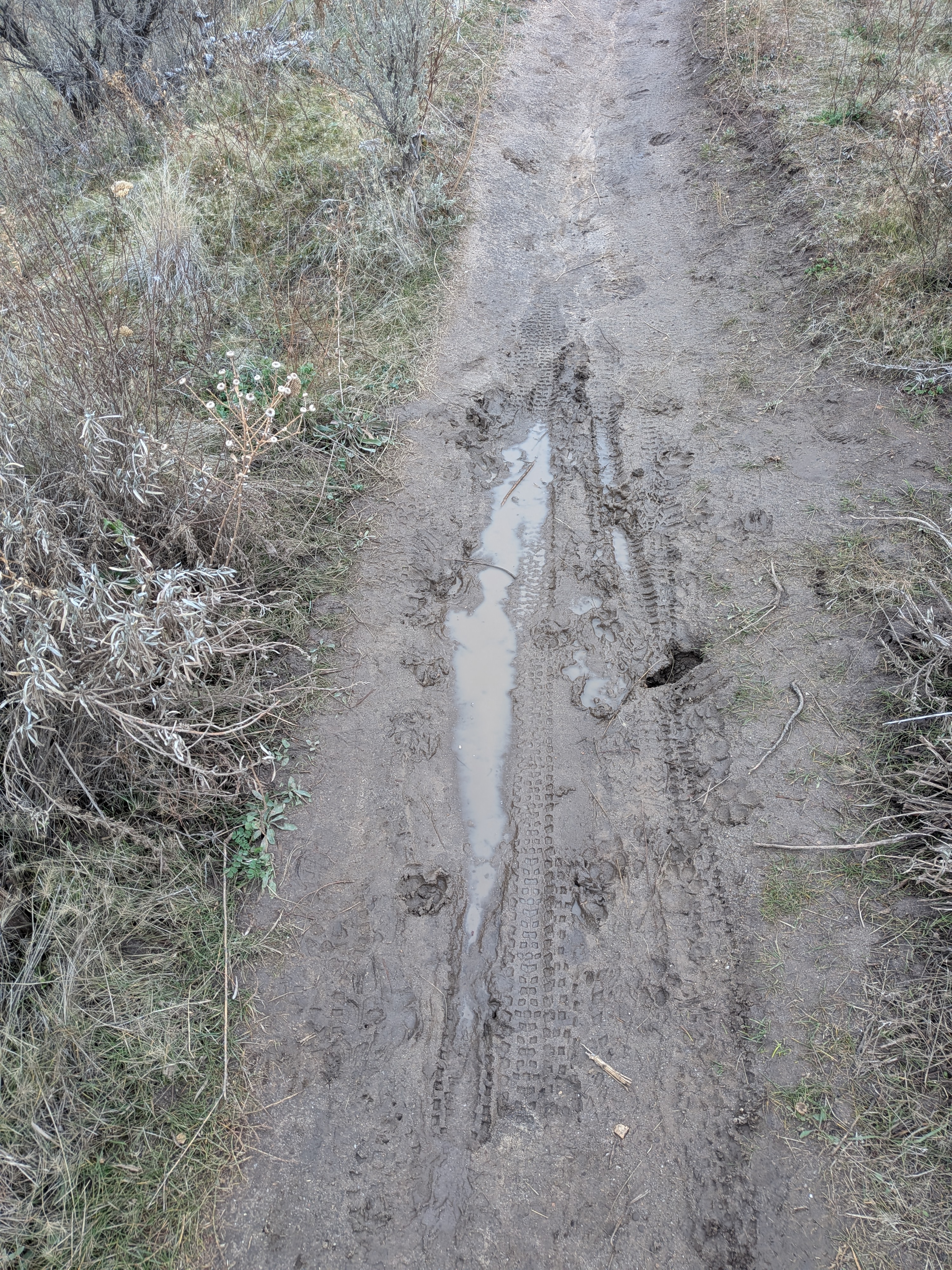 Short, Muddy Trail Section