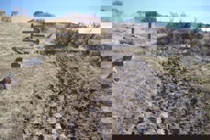 Muddy trail shows obvious signs of damage from use.