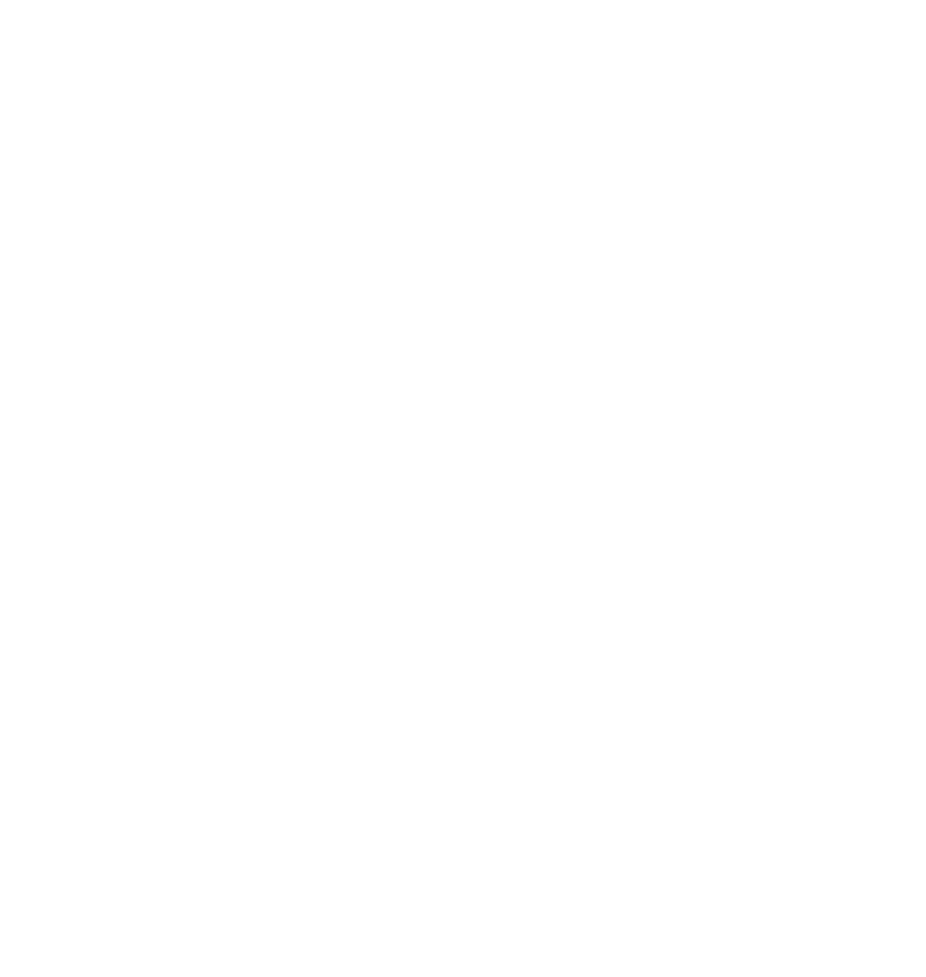 City of Boise Seal