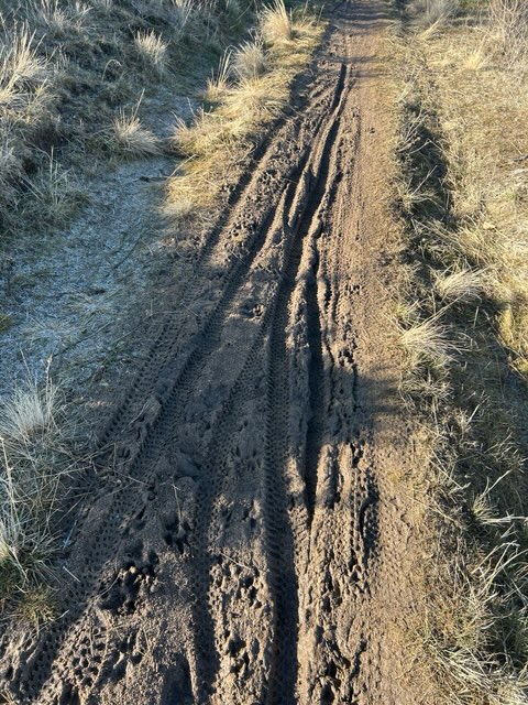 Cartwright Ridge Trail
