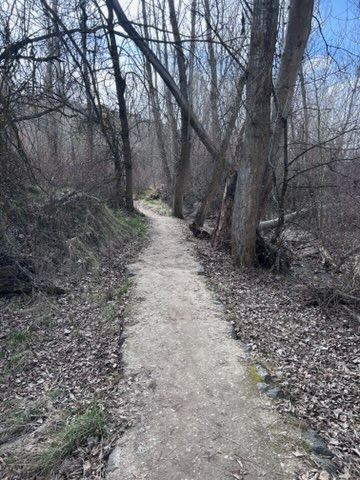 Freestone Creek Trail (2)