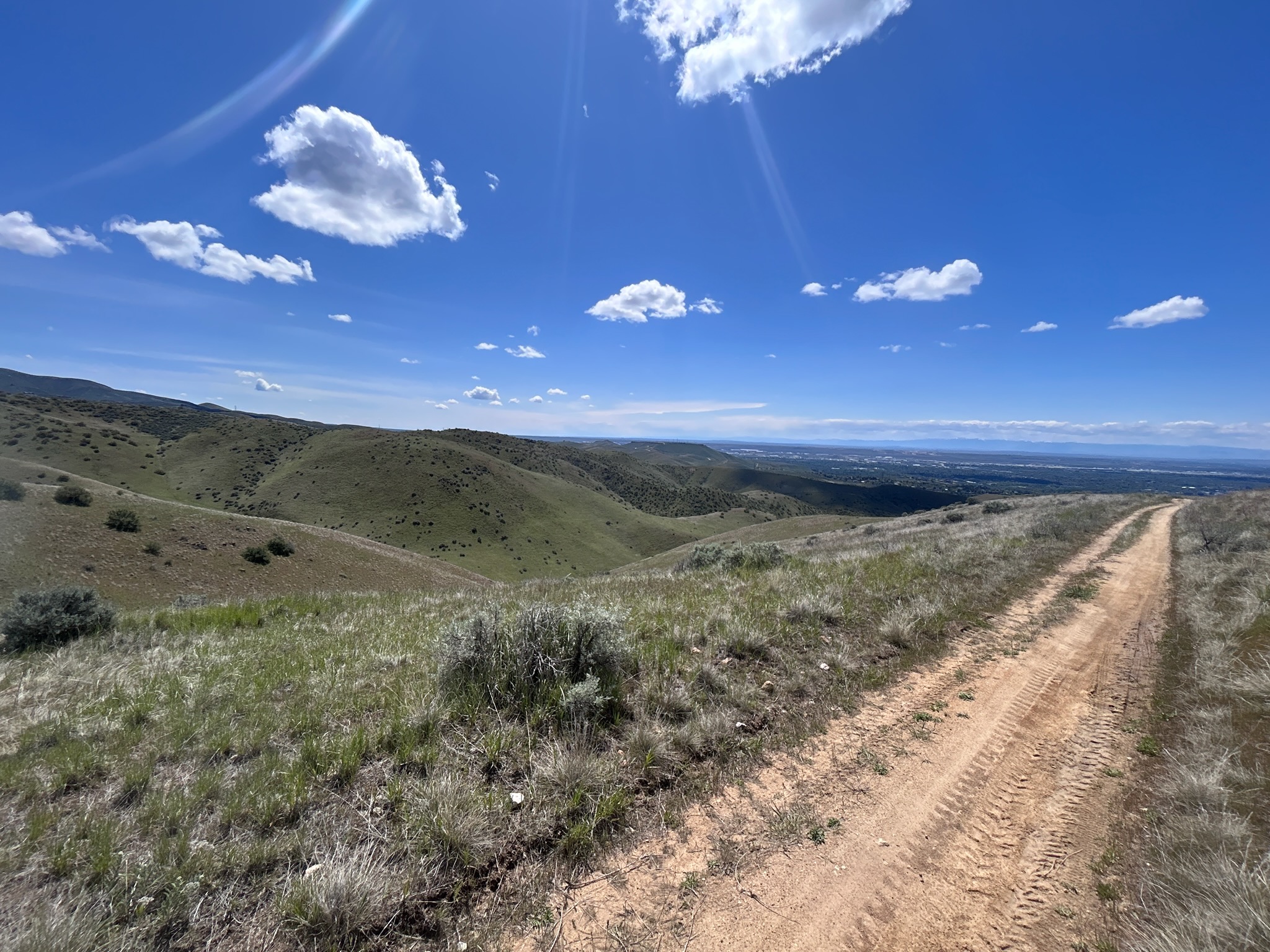 Freestone Ridge Trail #5