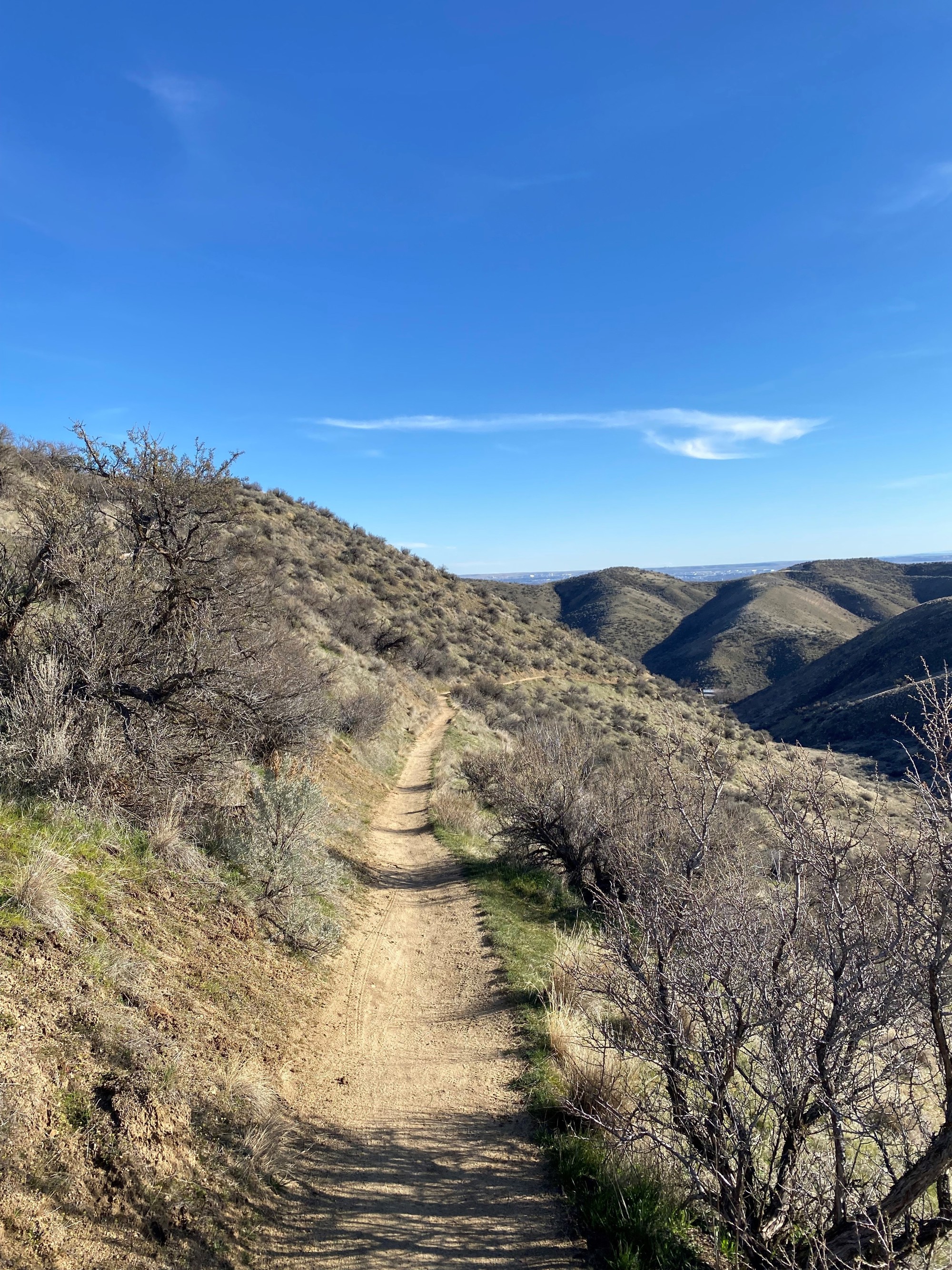 Banner Ridge Trail March 4 Trail Report | Ridge to Rivers