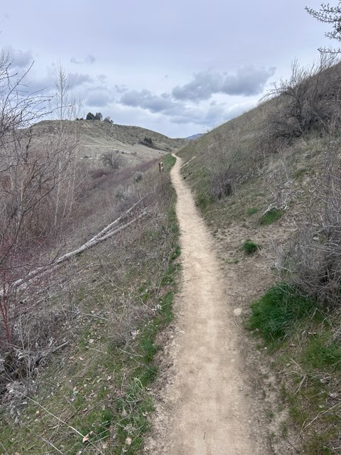 Santral Ridge March 11 Trail Report | Ridge to Rivers