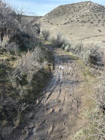 Polecat Loop Across From Quick Draw