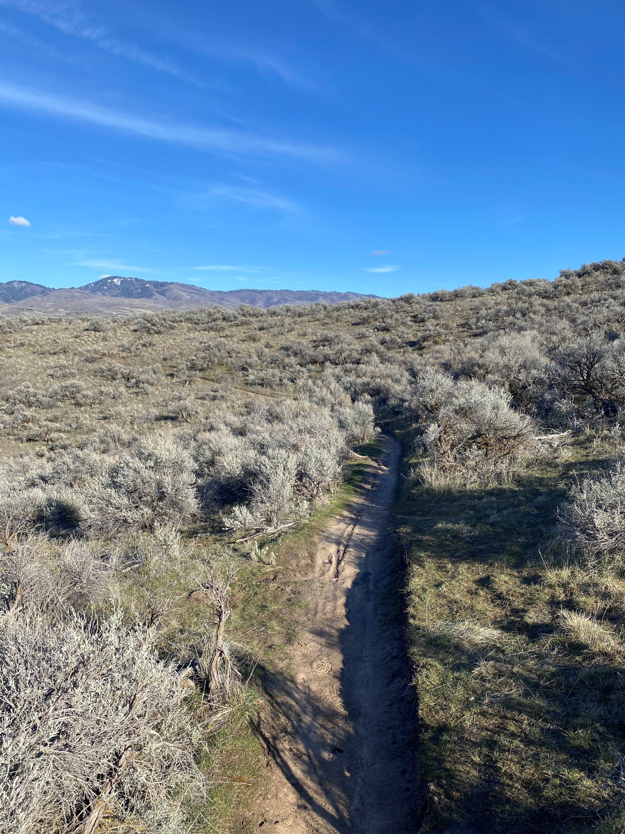 Santral Ridge March 4 Trail Report | Ridge to Rivers