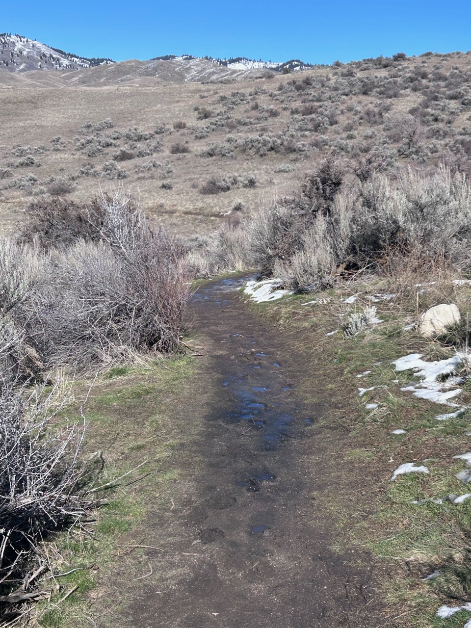 Sweet Connie Trail (2)