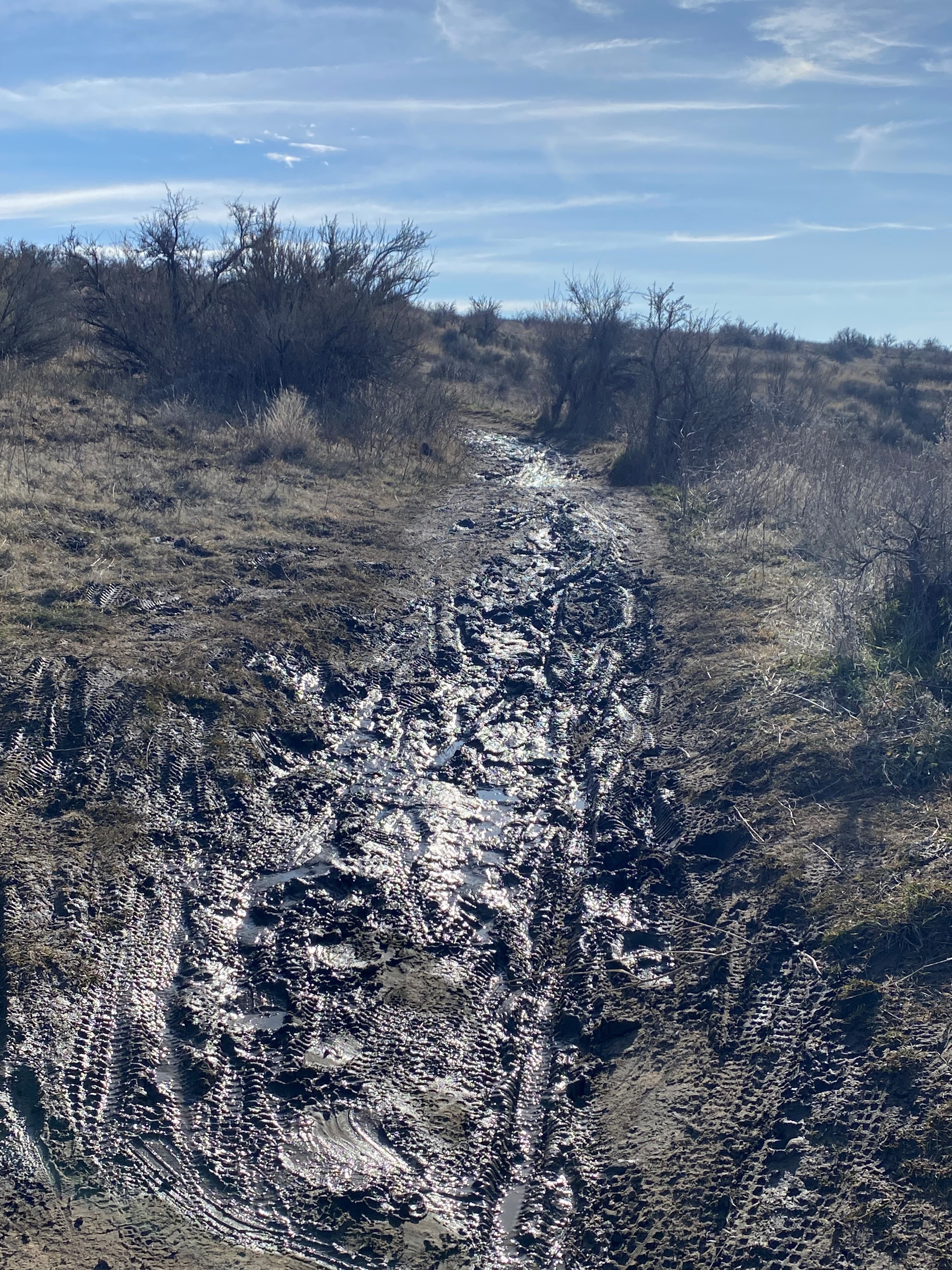 1 23 Kestrel Right Y