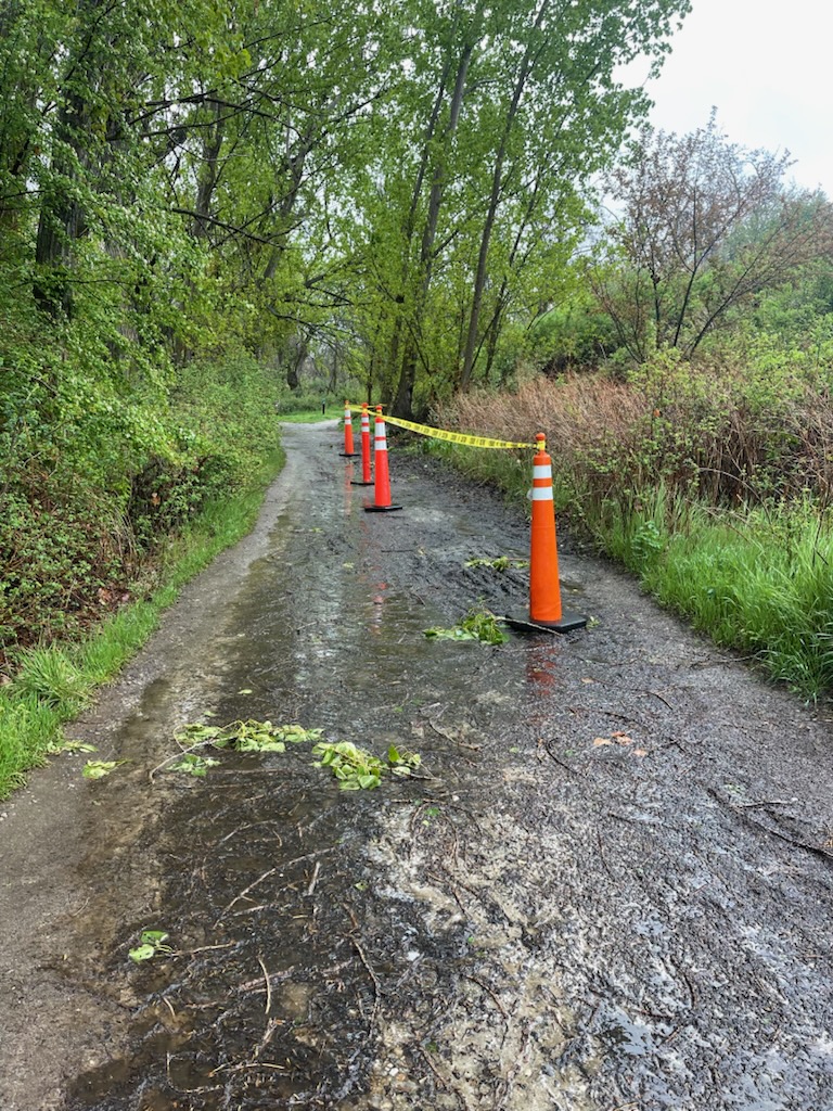 Owls Roost Please Avoid Coned Off Area