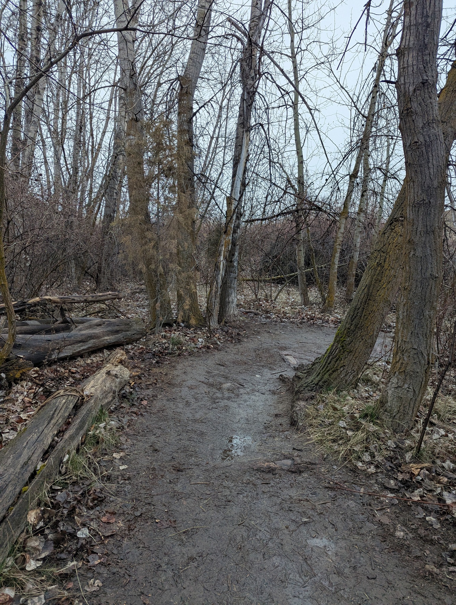 Mountain Cove All Weather Option