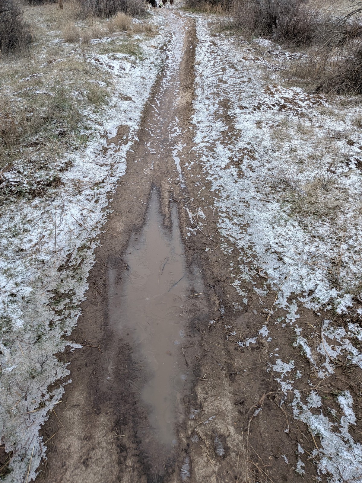 Central Ridge Spur Trail (1)