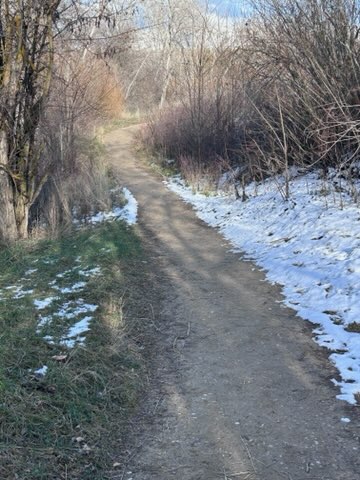 The Grove All Weather Trail