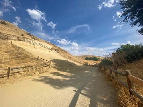 Red Fox Trail Reroute Area For Sand Mitigation