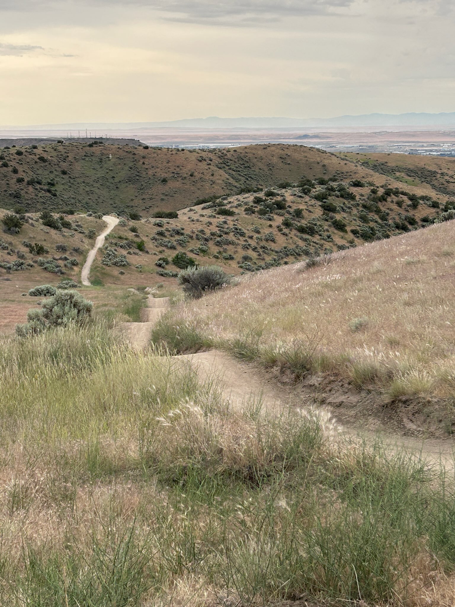 Trail 4 (1)