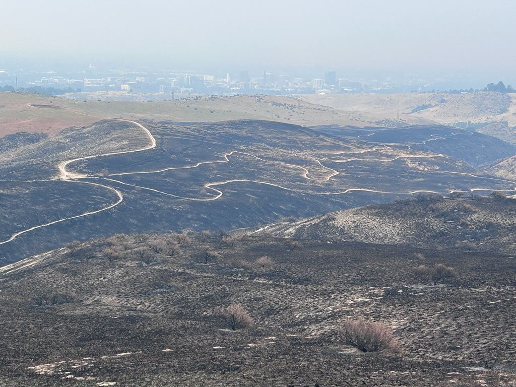 Bucktail And Two Point Trails