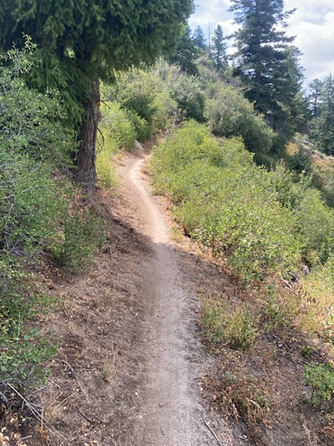 ATM Trail.