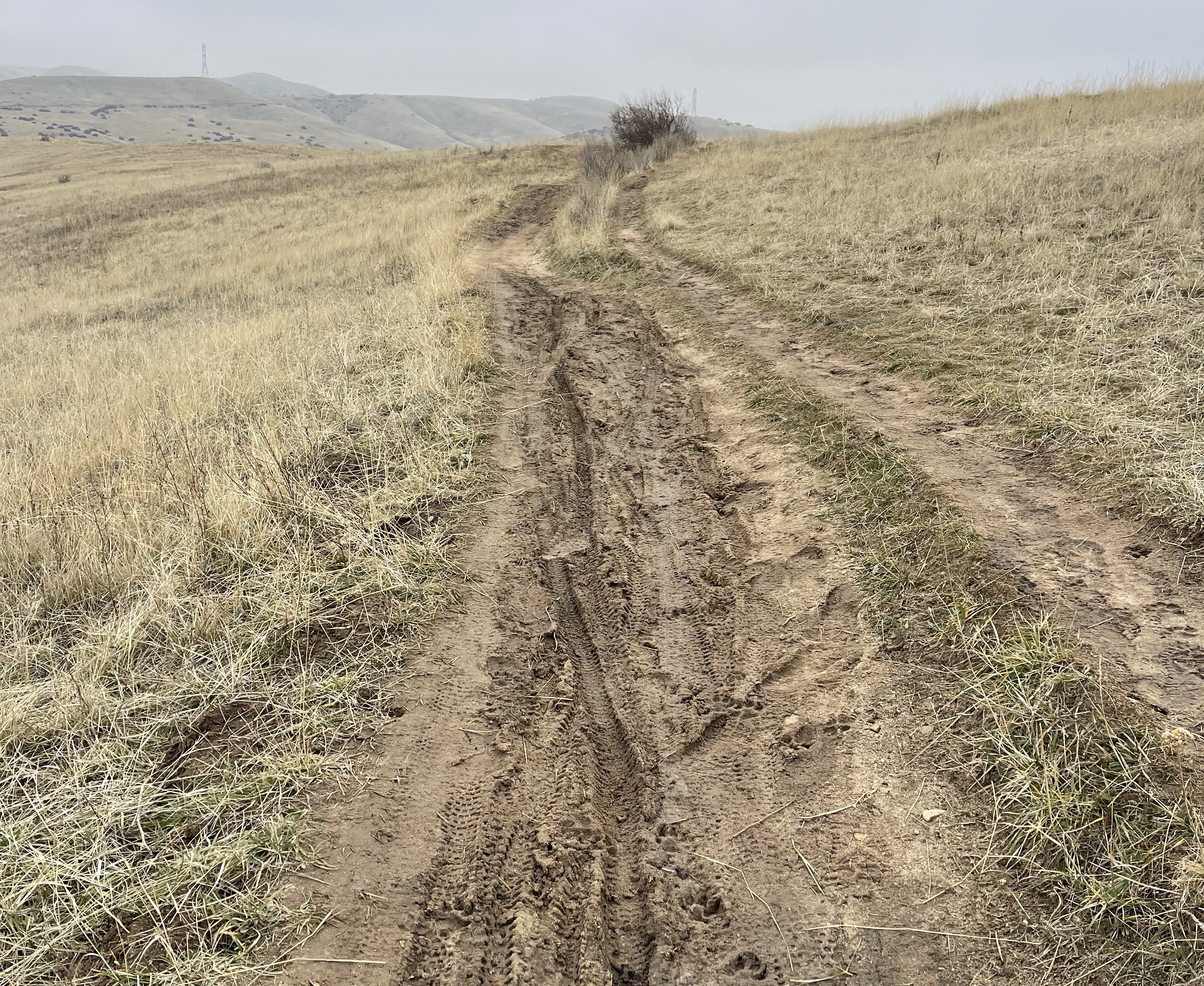 Central Ridge Trail Cropped