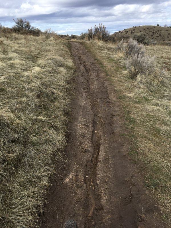 Deep ruts cut through muddy trail, showing damage created during poor weather conditions.